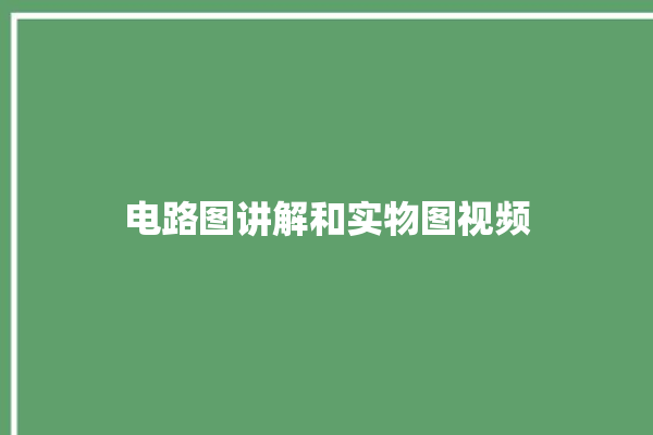 电路图讲解和实物图视频