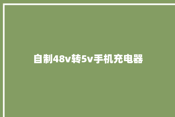 自制48v转5v手机充电器