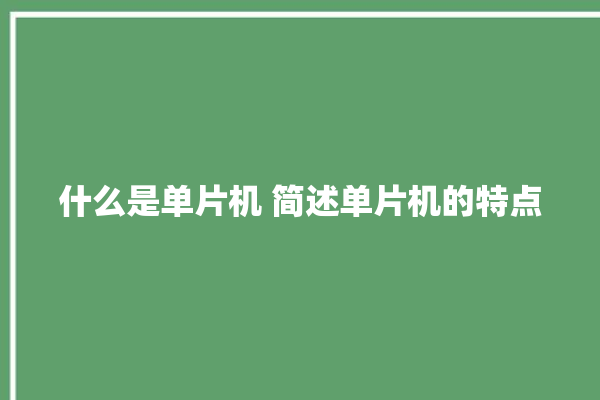 什么是单片机 简述单片机的特点