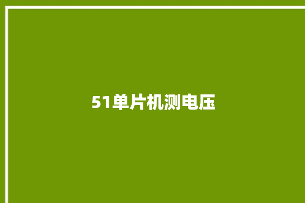 51单片机测电压