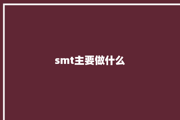 smt主要做什么