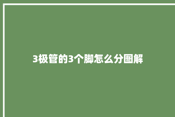 3极管的3个脚怎么分图解