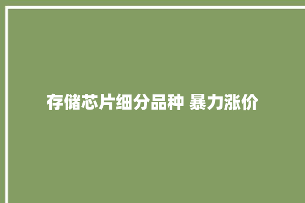 存储芯片细分品种 暴力涨价