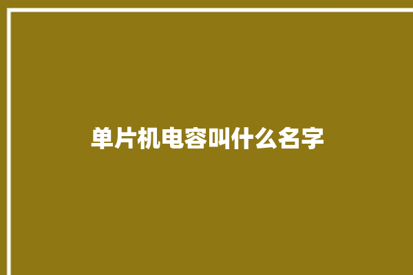 单片机电容叫什么名字