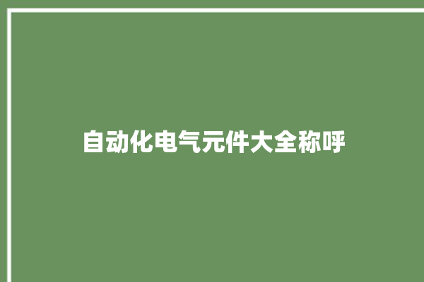 自动化电气元件大全称呼