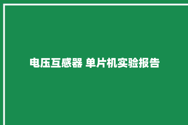 电压互感器 单片机实验报告