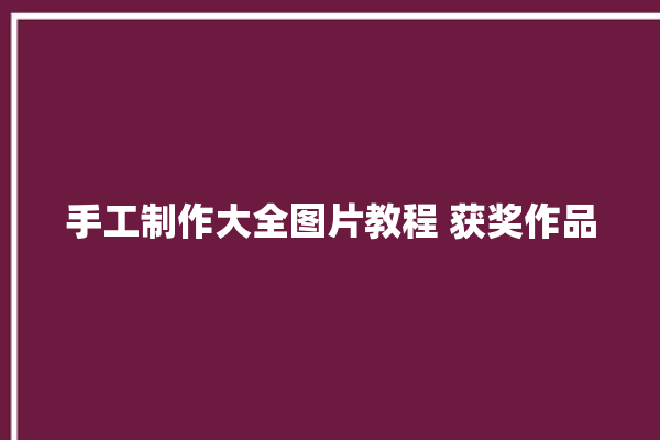 手工制作大全图片教程 获奖作品