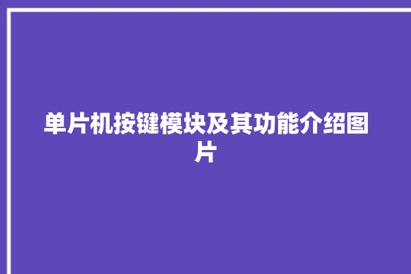 单片机按键模块及其功能介绍图片