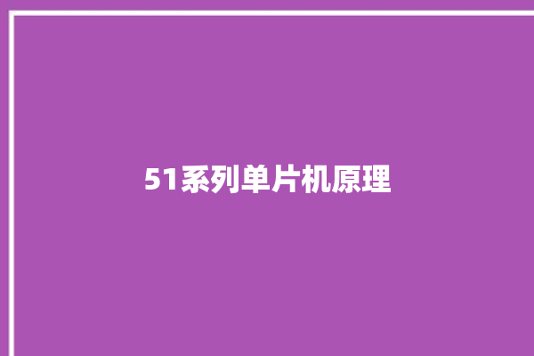 51系列单片机原理