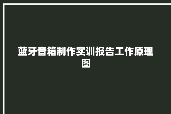 蓝牙音箱制作实训报告工作原理图