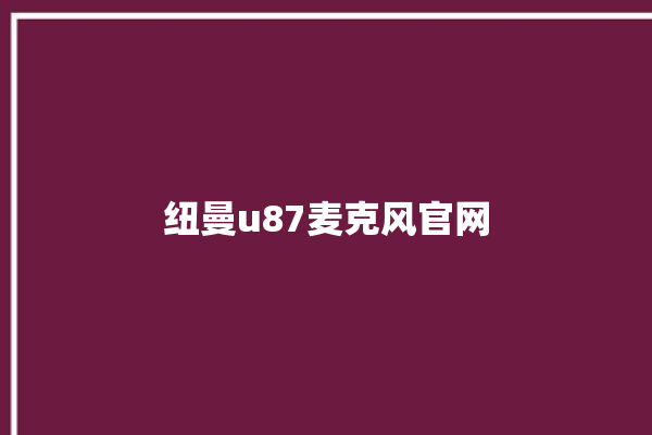 纽曼u87麦克风官网