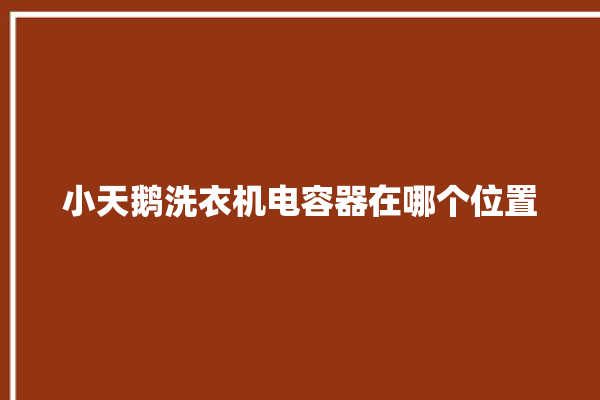 小天鹅洗衣机电容器在哪个位置