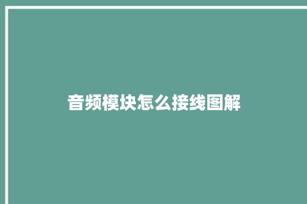 音频模块怎么接线图解