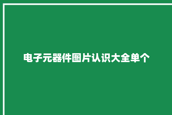 电子元器件图片认识大全单个