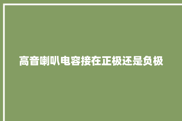 高音喇叭电容接在正极还是负极