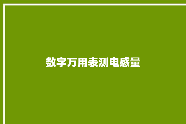 数字万用表测电感量