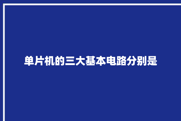 单片机的三大基本电路分别是