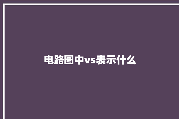 电路图中vs表示什么