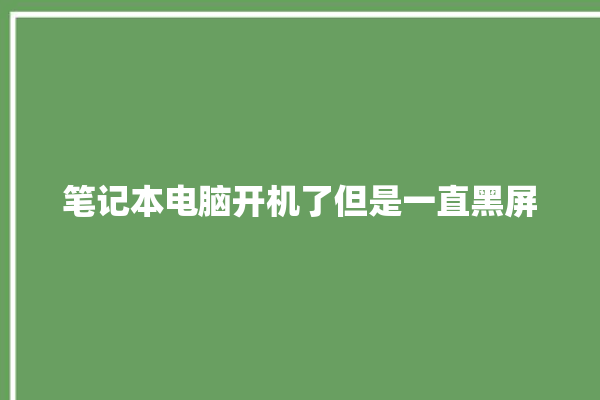 笔记本电脑开机了但是一直黑屏