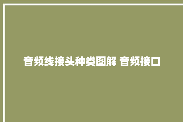 音频线接头种类图解 音频接口