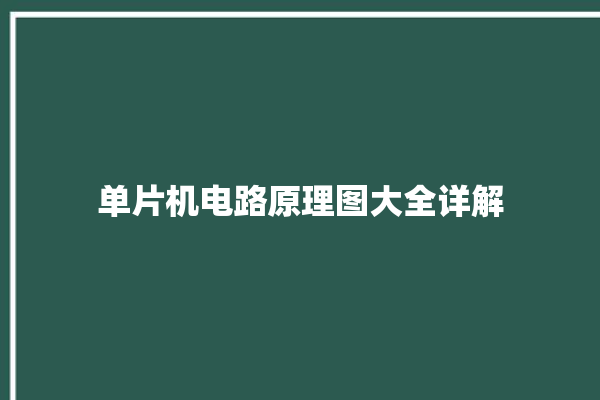 单片机电路原理图大全详解