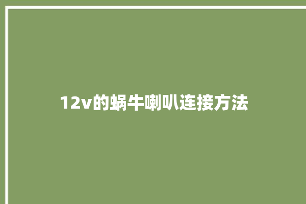 12v的蜗牛喇叭连接方法