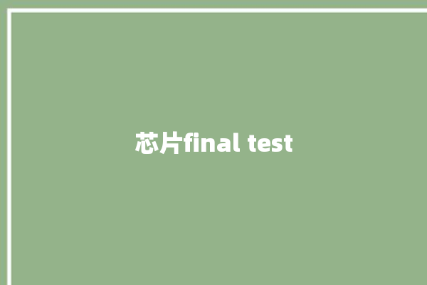 芯片final test