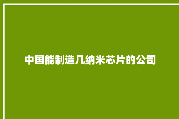 中国能制造几纳米芯片的公司