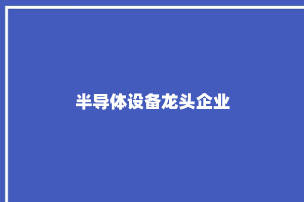 半导体设备龙头企业