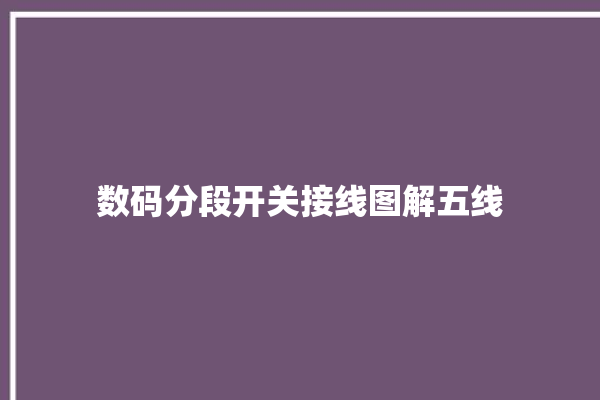 数码分段开关接线图解五线