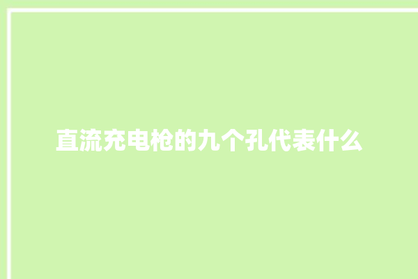 直流充电枪的九个孔代表什么