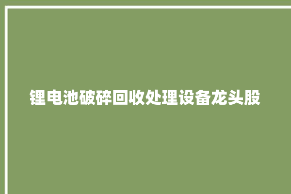 锂电池破碎回收处理设备龙头股