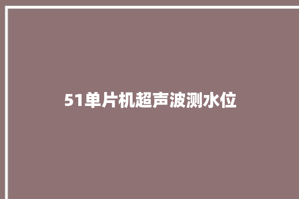 51单片机超声波测水位