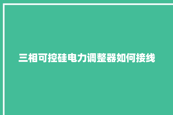 三相可控硅电力调整器如何接线