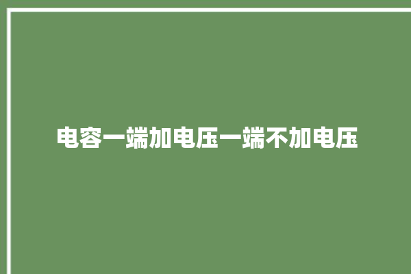 电容一端加电压一端不加电压