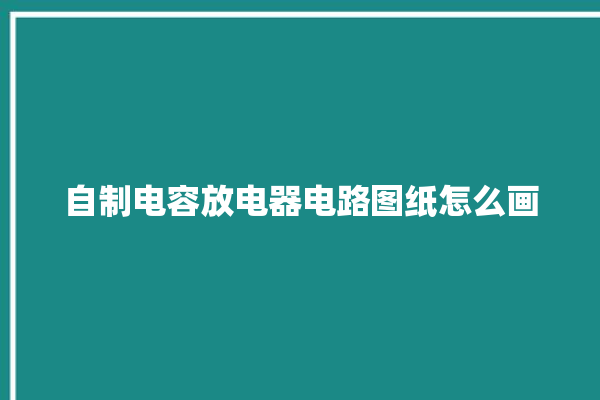 自制电容放电器电路图纸怎么画