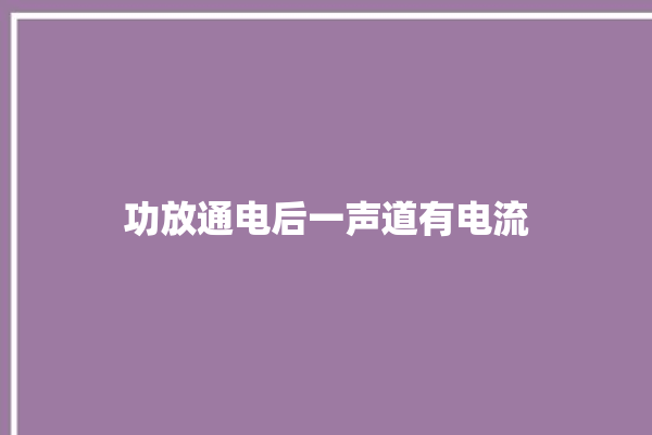 功放通电后一声道有电流