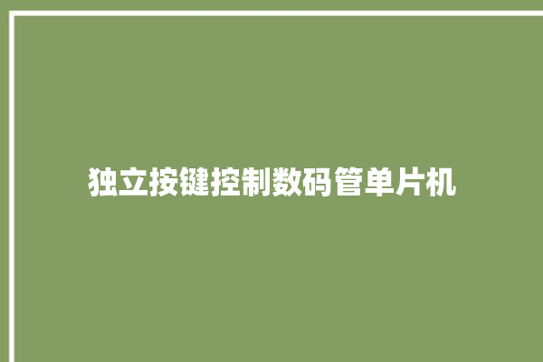 独立按键控制数码管单片机