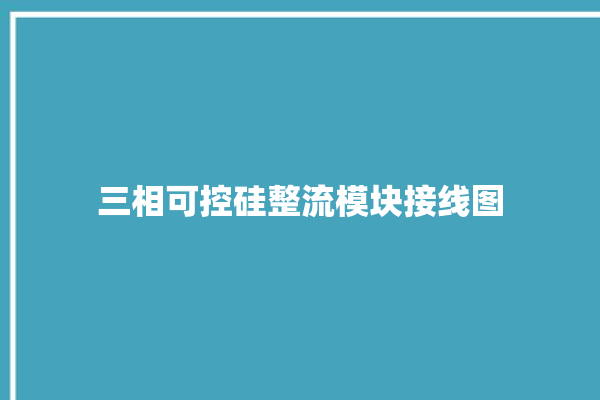 三相可控硅整流模块接线图