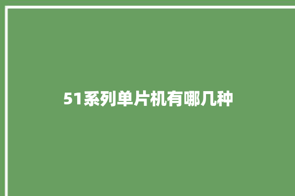 51系列单片机有哪几种