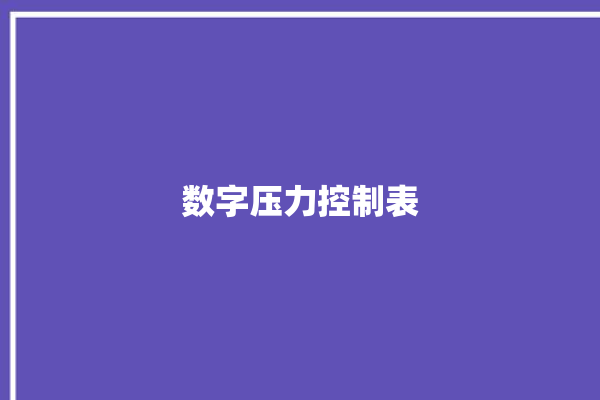 数字压力控制表