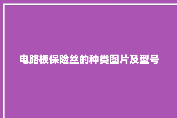 电路板保险丝的种类图片及型号