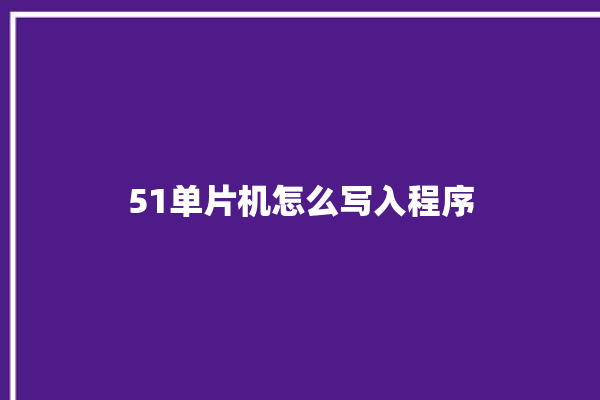 51单片机怎么写入程序