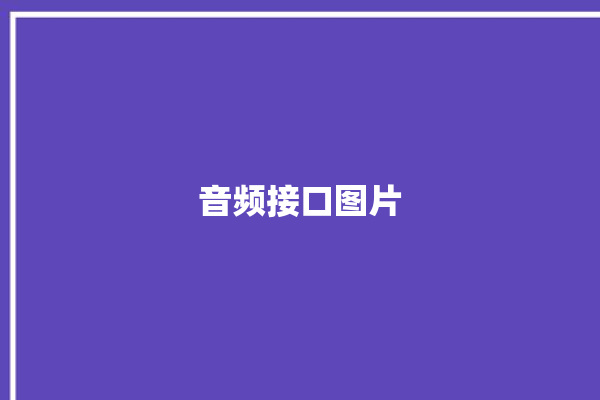 音频接口图片