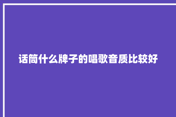 话筒什么牌子的唱歌音质比较好