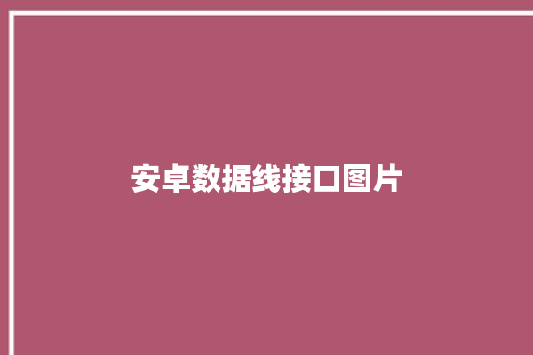 安卓数据线接口图片