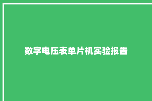 数字电压表单片机实验报告