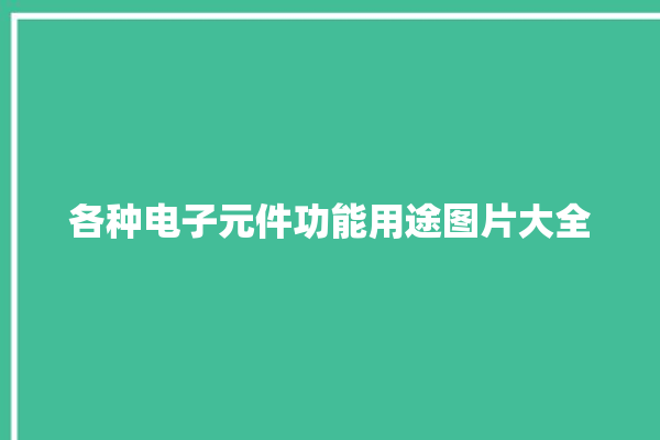 各种电子元件功能用途图片大全