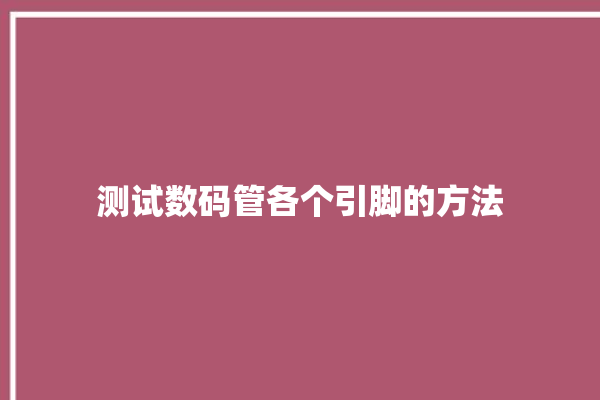 测试数码管各个引脚的方法