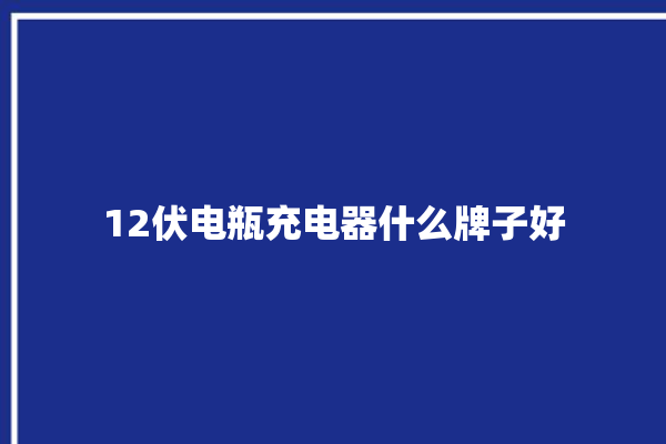 12伏电瓶充电器什么牌子好